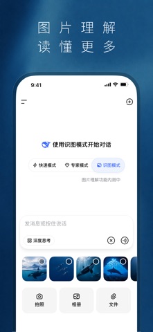 DeepSeek 官方公开预览图 2